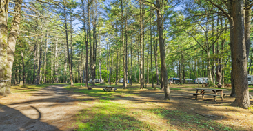 treeline at lake george campsites