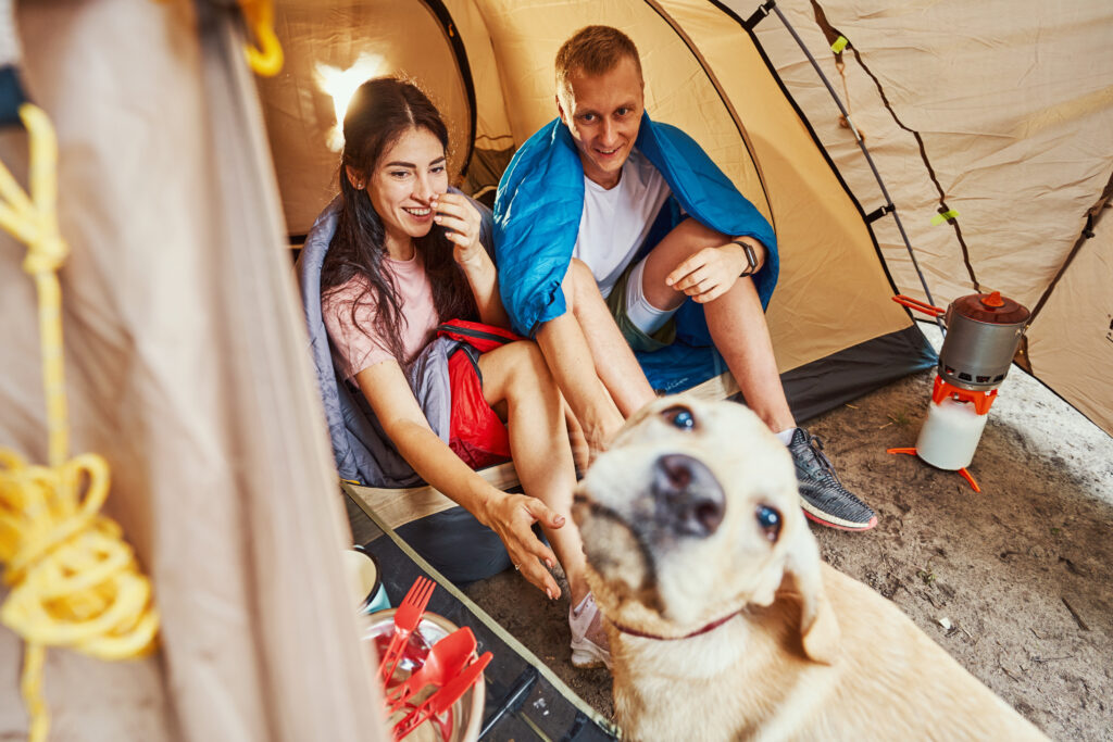 happy-couple-having-fun-with-dog-at-campsite 