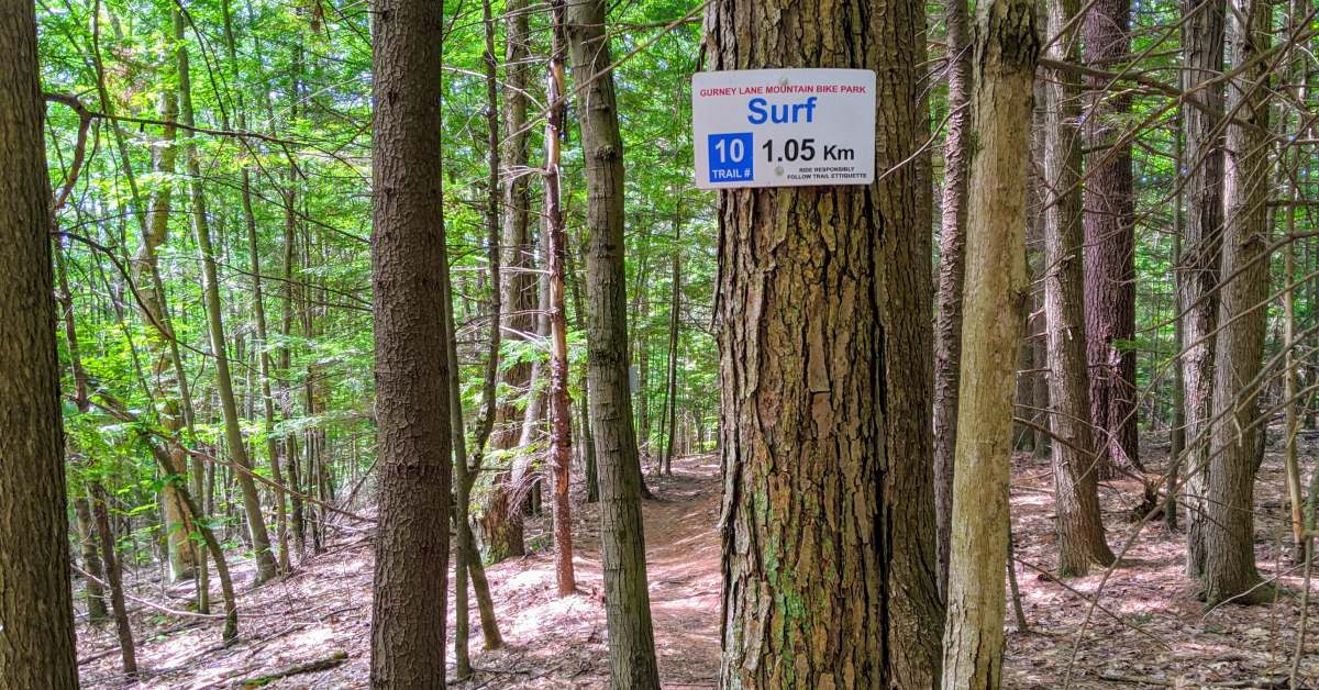 gurney lane bike trail sign on tree in woods