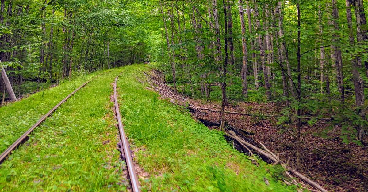 rail trail for railbiking through woods