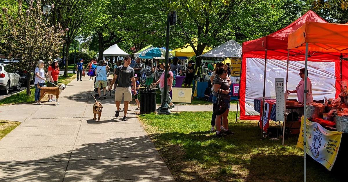 people and dogs at pet fest in glens falls